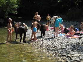 DSCN3285.jpg