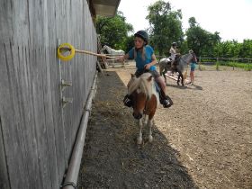 DSCN3368.jpg